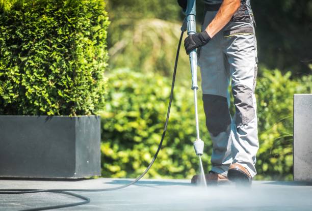 Trusted Muniz, TX  Pressure Washing Services Experts