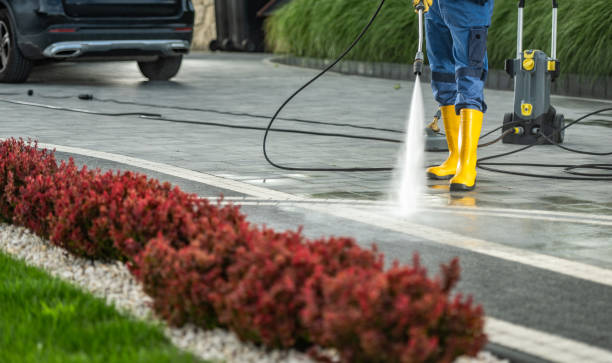 Animal Enclosure Cleaning in Muniz, TX