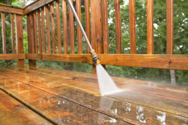 Best Gutter Cleaning  in Muniz, TX